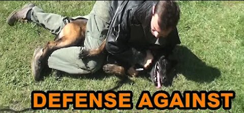 How to defend against a dog. Self defense against dog attack