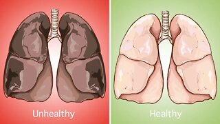 The Most Effective Foods to Cleanse your Lungs