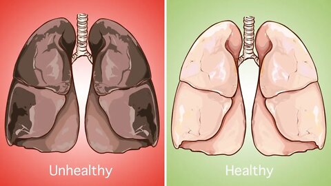 The Most Effective Foods to Cleanse your Lungs