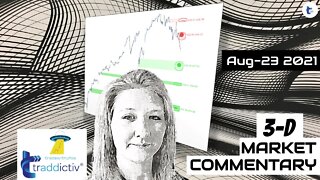 AutoUFOs 3-D Market Commentary (Becky Hayman) 2021 Aug-23
