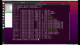 tsd.c - Dados Específicos de Threads no Linux