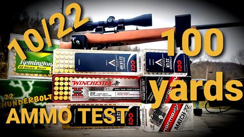 Ruger 10/22 - 100 yard ammo test