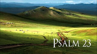 The 23rd Psalm - Pastor Joan