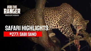Safari Highlights #277: 29 Jun - 02 Jul 2014 | Sabi Sand Nature Reserve | Latest Wildlife Sightings