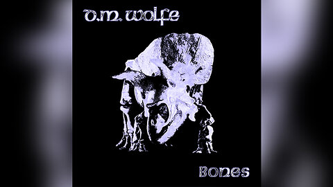 D. M. WOLFE - Bones #music #onemanband