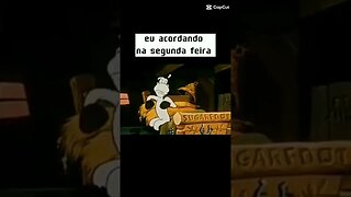 Gato Bartolomeu Tunico acordando na segunda-feira 🙀