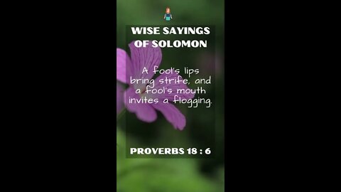 Proverbs 18:6 | NRSV Bible - Wise Sayings of Solomon