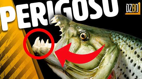 12 PEIXES MAIS PERIGOSOS DO MUNDO - Você jamais imaginaria isso!