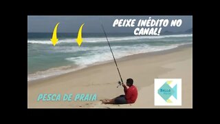 PESCARIA COM MUITOS PEIXES (PAMPO, XERELETE) E MAIS DOIS INÉDITOS NO CANAL - Bello Peixe