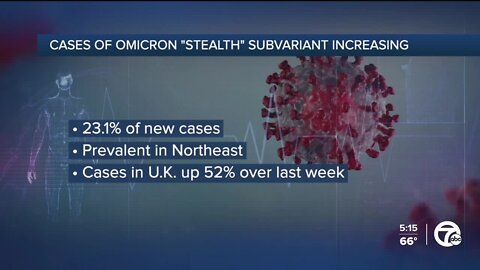 Omicron BA.2 subvariant now accounts for a quarter of all new COVID cases in US