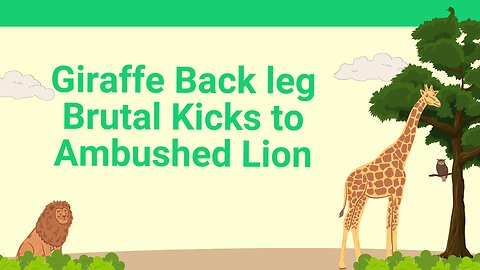 Giraffe Back Leg Blows to Lion