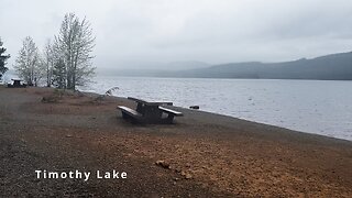 Oak Fork Campground @ Timothy Lake | Boat Launch, Day Use Area & Best Campsites! | Mount Hood | 4K