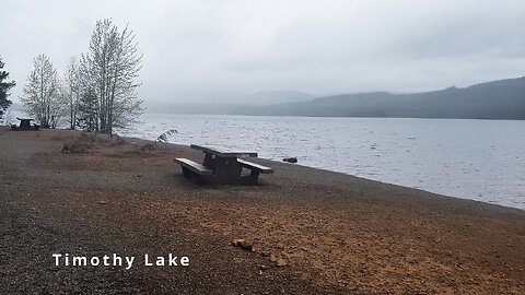 Oak Fork Campground @ Timothy Lake | Boat Launch, Day Use Area & Best Campsites! | Mount Hood | 4K