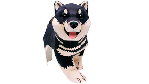 Black paper shiba inu dog/Perro shiba inu de papel negro/Cachorro shiba inu preta de papel
