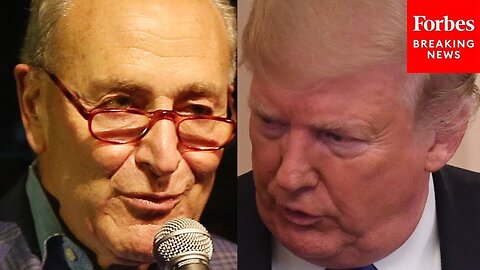 'It's As If Donald Trump Is On A Mission To Find New Ways To Sink Lower And Lower': Schumer