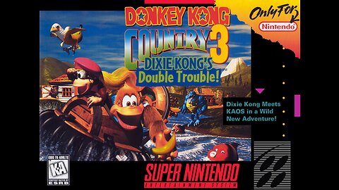 DONKEY KONG COUNTRY 3 LIVE GAMEPLAY