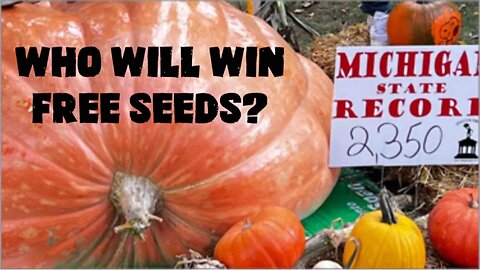 California Pumpkin Trip (Seed giveaway)