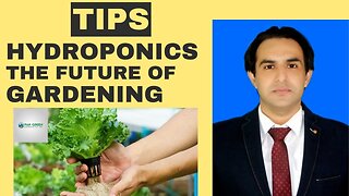 Gardening's Future: The Adoption of Hydroponics