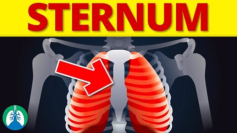 Sternum (Medical Definition) | Quick Explainer Video