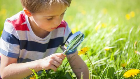 ¿Visible o Invisible?