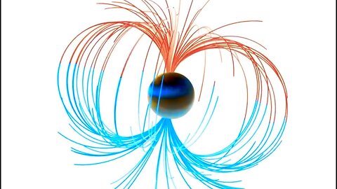 Proof of Magnetic Pole Shift Extinctions and Cause of Climate Change - Harvard vs Ben