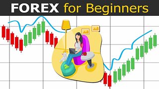 Forex Trading Journey for Beginners