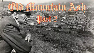 Old Mountain Ash Part 2