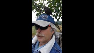 Oregon Bird wants to go to Alaska