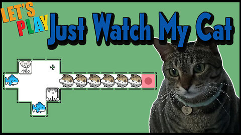 Just Watch My Cat - All levels - No commentary