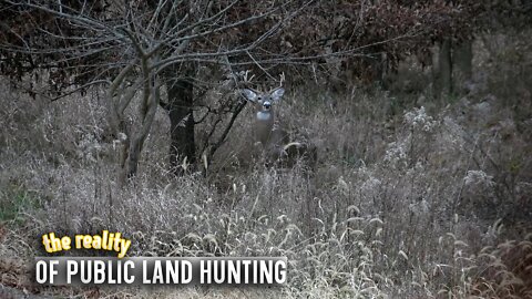 The Truth About Public Land Hunting