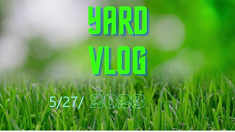 Yard Vlog 5/27/23