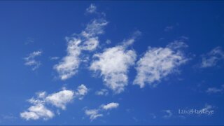 Crazy Cloud Cam | Image Set 157 | Transformers