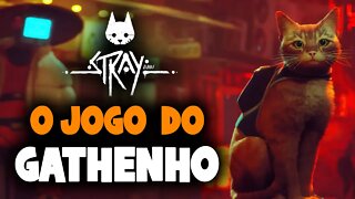 Stray - Início da série do jogo do gatinho