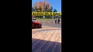 Bachelor life in Dubai