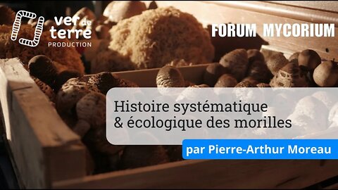 Histoire systématique et écologique des morilles, par Pierre Arthur Moreau