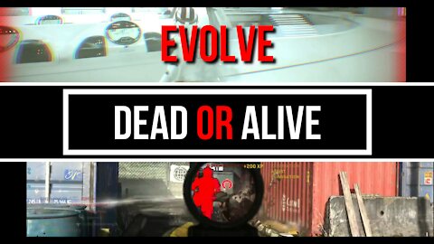 Dead Or Alive - Evolve 2021