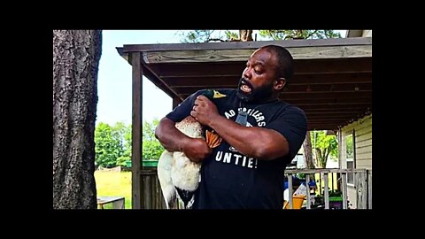 What The Duck? | Livestock Vlog