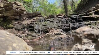One Tank Trips: Cave Spring Park