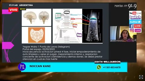 Codigos 2-2-22. Descalcificación de pineal y Mensaje del Reino Vegetal a la Humanidad