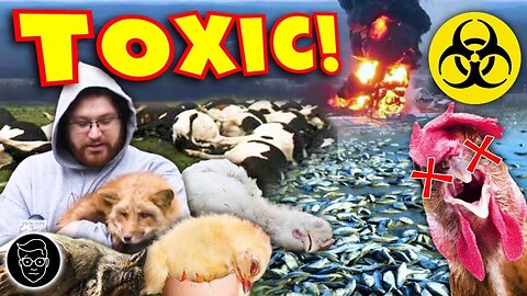 Animals DROPPING DEAD All over Ohio After Government POISONED Town | PETA Silent!?