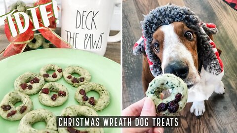 How to make homemade Christmas Wreath Dog Treats