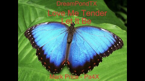 DreamPondTX/Mark Price - Love Me Tender/Let It Be (Pa4X at the Pond, PP)