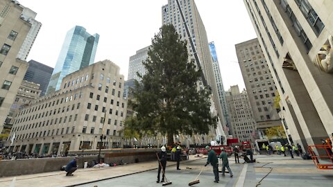 90th Annual Lighting Of The Rockefeller Center Christmas Tree