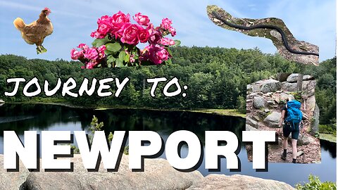 🐐 Traveling to Newport Rhode Island | Part 1