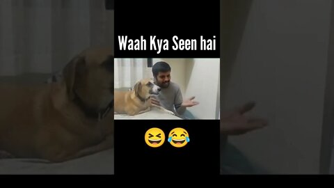 Fun with dog 🐕😂 #shorts