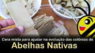 Como fazer lâminas e potinhos de cera mista para abelhas ASF