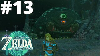 The Frox| The Legend of Zelda: Tears of the Kingdom #13