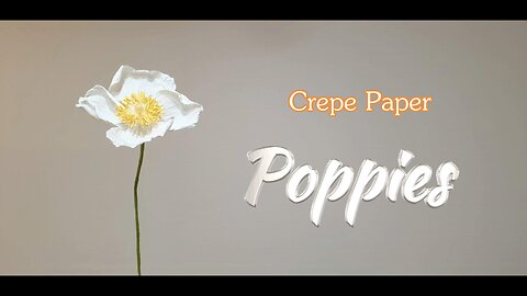 Beautiful Poppy Flowers / Simple Easy DIY / Crepe Paper Craft / Decor Poppies / How to step by step