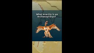 What Exactly Is an Archaeopteryx?