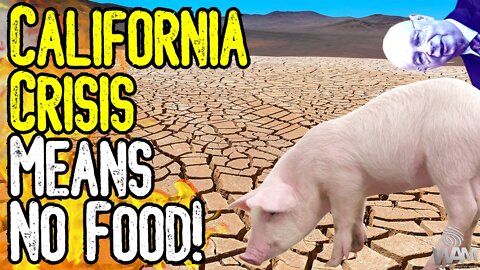 California Crisis MEANS NO FOOD! - Starvation Event IMMINENT! - Animals CANNIBALIZE Each Other!